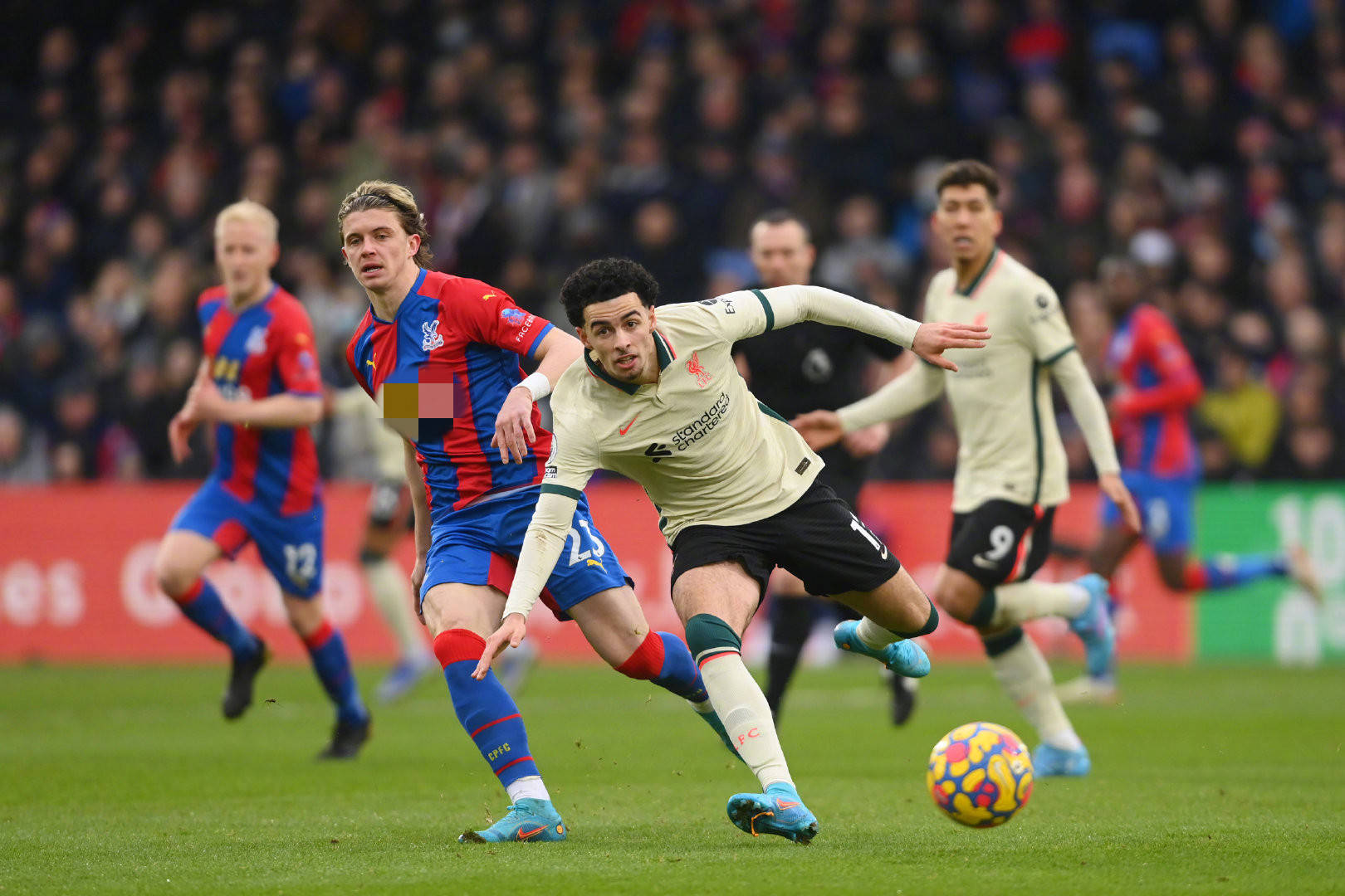 献上需进一 献上需进一